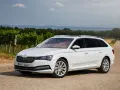 Biała Skoda Combi zaparkowana na drodze wśród winnic.