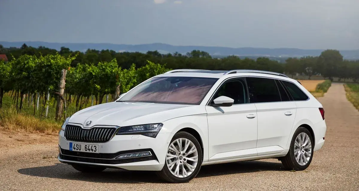 Biała Skoda Combi zaparkowana na drodze wśród winnic.