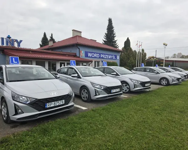 Samochody WORD Przemyśl z literką L na dachu. Zastanawiasz się, ile kosztuje egzamin teoretyczny na prawo jazdy?