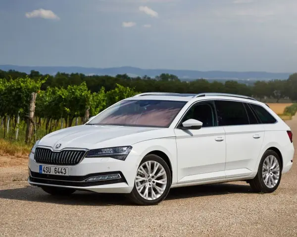 Biała Skoda Combi zaparkowana na drodze wśród winnic.