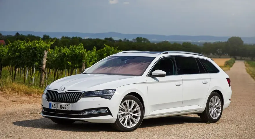Biała Skoda Combi zaparkowana na drodze wśród winnic.